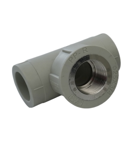 Camiseta hembra PP-R